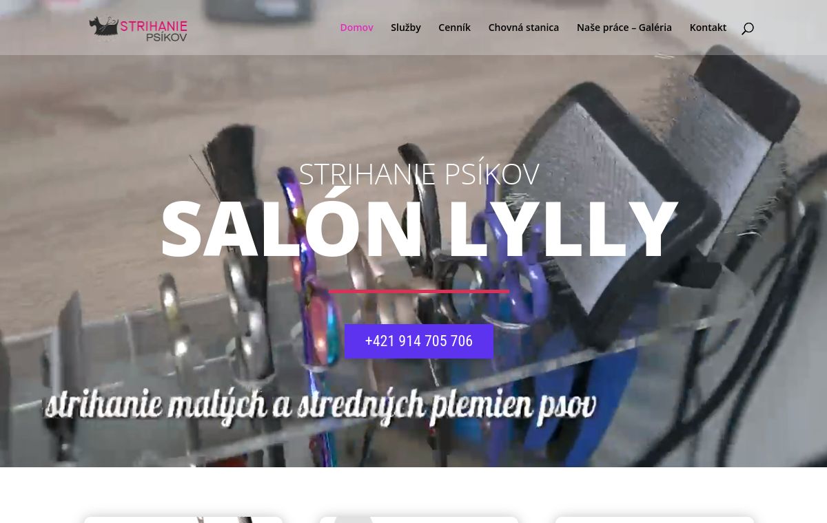Náhľad projektu Strihanie psíkov